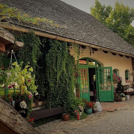 Domy Konesera Trzcin Exterior foto