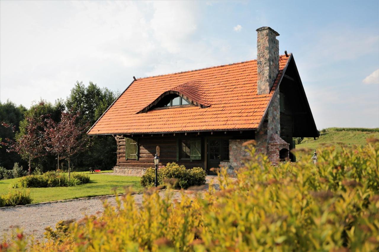 Domy Konesera Trzcin Exterior foto